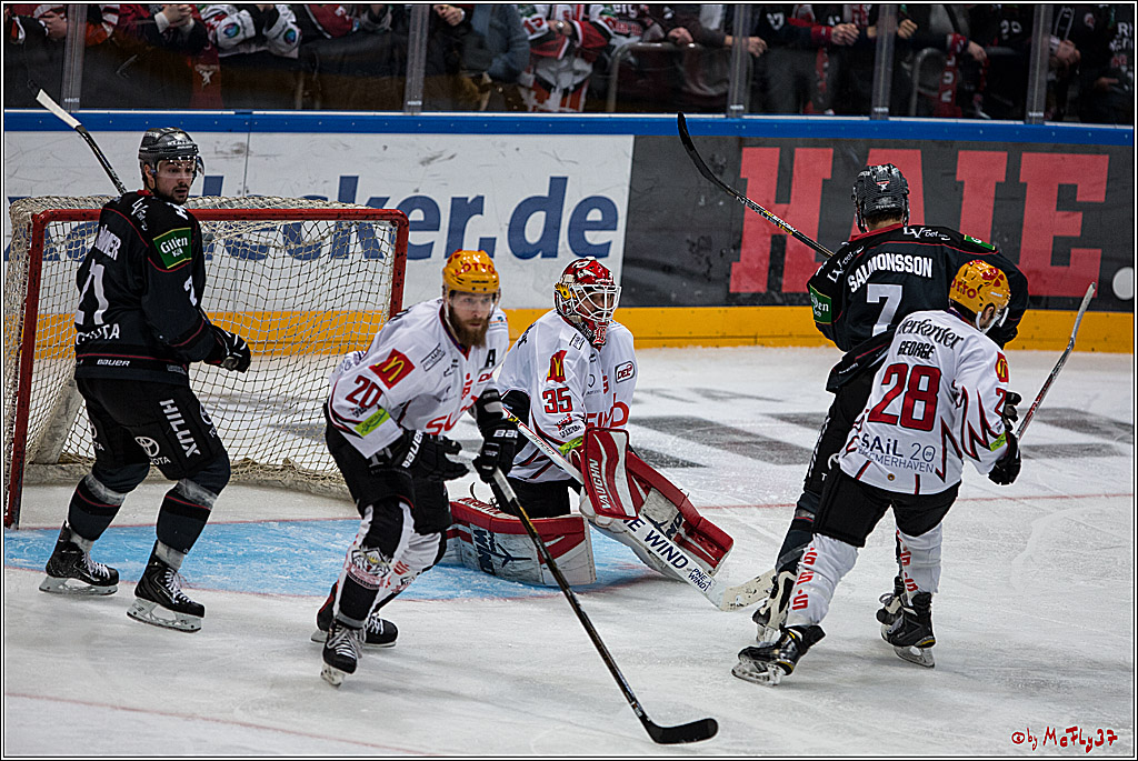 DEL, Koelner Haie - Fishtown Pinguins Bremerhaven, 29.01.2017